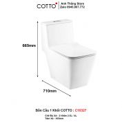 Bồn Cầu COTTO C10327