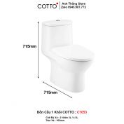 Bồn Cầu COTTO C1053