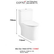 Bồn Cầu COTTO C105607