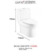 Bồn Cầu COTTO C11000OS