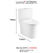 Bồn Cầu COTTO C11003HOS