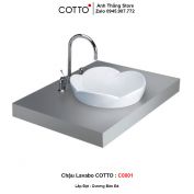 Chậu Lavabo COTTO C0001