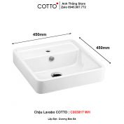 Chậu Lavabo COTTO C003817-WH