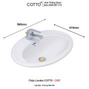 Chậu Lavabo COTTO C007