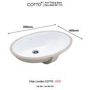 Chậu Lavabo COTTO C017