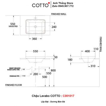 Chậu Lavabo COTTO C001017-2