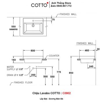 Chậu Lavabo COTTO C0902-2