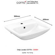 Chậu Lavabo COTTO C00581