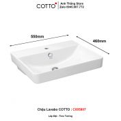 Chậu Lavabo COTTO C005907