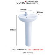 Chậu Lavabo COTTO C013 + Chân Dài C404