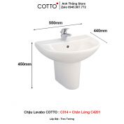 Chậu Lavabo COTTO C014 + Chân Lửng C4201