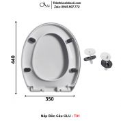 Nắp Bồn Cầu OLU T01