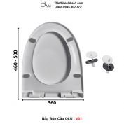 Nắp Bồn Cầu OLU V01
