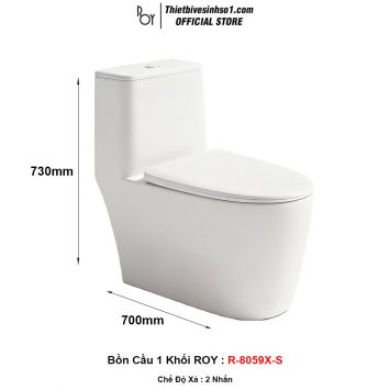 Bồn Cầu ROY R-8059X-S