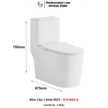 Bồn Cầu ROY R-8166X-S