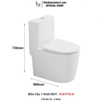 Bồn Cầu ROY R-8177X-S