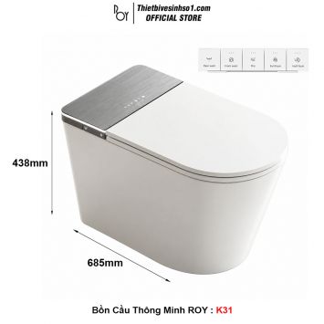 Bồn Cầu Thông Minh ROY K31