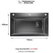 Chậu Rửa Bát ROY CT-7545F