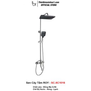 Sen Cây Tắm ROY SC-XC1016