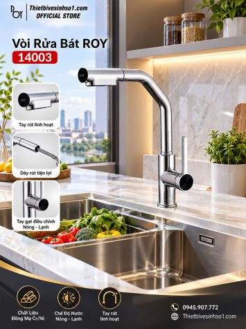 Vòi Rửa Bát ROY 14003