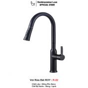 Vòi Rửa Bát ROY R-02