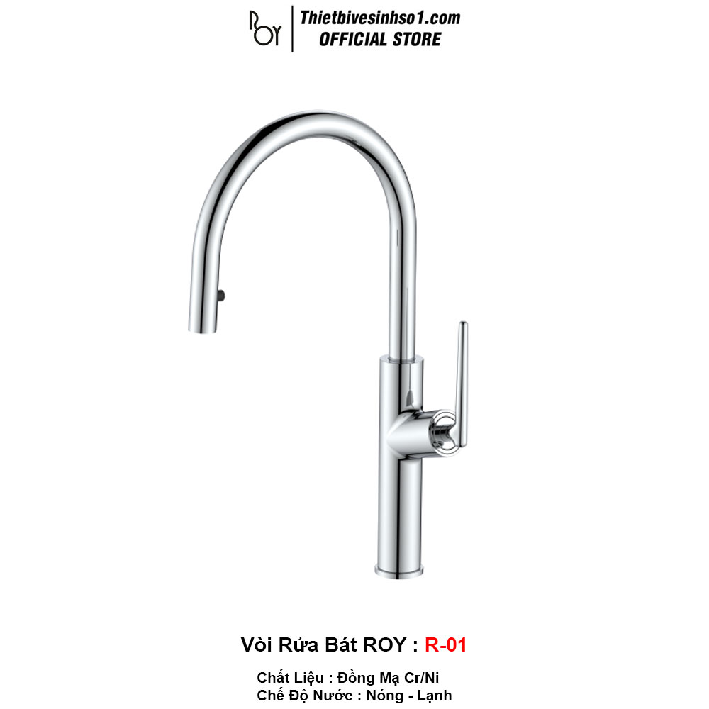 Vòi Rửa Bát ROY R-01