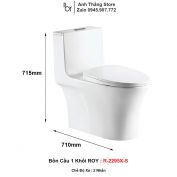 Bồn Cầu ROY R-2295X-S