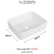 Chậu Lavabo ROY R-6119A