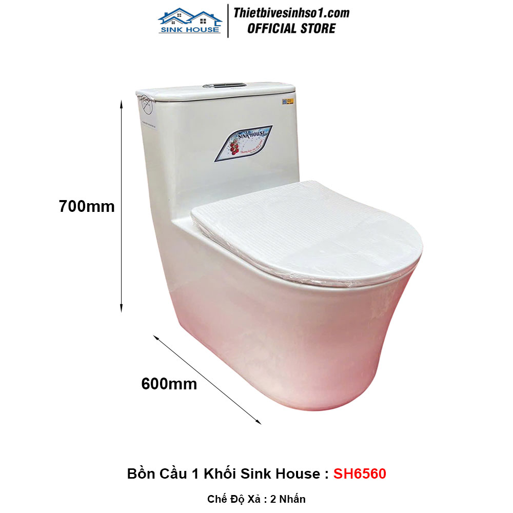 Bồn Cầu Sink House SH6560