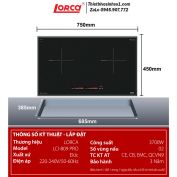Bếp Từ Lorca LCI 809 PRO