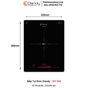 Bếp Từ Dandy DY-100