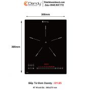 Bếp Từ Dandy DY-85