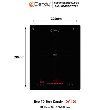 Bếp Từ Dandy DY-100