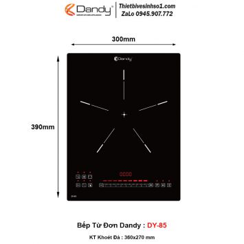 Bếp Từ Dandy DY-85