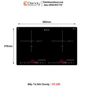 Bếp Từ Dandy DY-200
