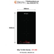 Bếp Từ Dandy DY-300