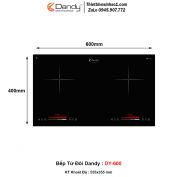 Bếp Từ Dandy DY-600