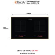 Bếp Từ Dandy DY-700T