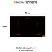 Bếp Từ Dandy DY-A101