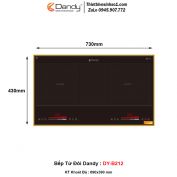 Bếp Từ Dandy DY-B212
