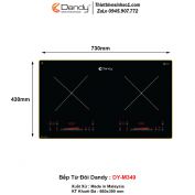 Bếp Từ Dandy DY-M349