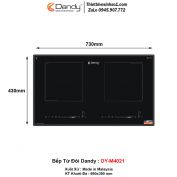 Bếp Từ Dandy DY-M4021