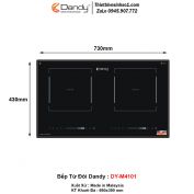 Bếp Từ Dandy DY-M4101