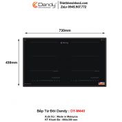 Bếp Từ Dandy DY-M440