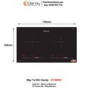 Bếp Từ Dandy DY-M550