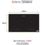 Bếp Từ Dandy DY-M652
