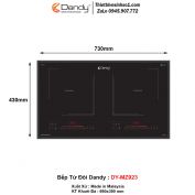 Bếp Từ Dandy DY-MZ923