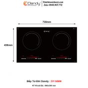 Bếp Từ Dandy DY-SB66