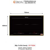 Bếp Từ Dandy DY-T5024