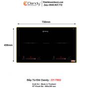 Bếp Từ Dandy DY-T602